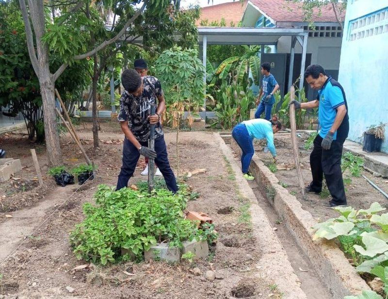 ANZOÁTEGUI | Inces impulsa soberanía alimentaria con formación en Agricultura Urbana - inline