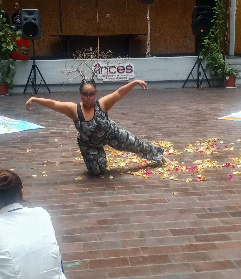 ARAGUA | Inces promovió la inclusión mediante muestras artísticas y plásticas - inline